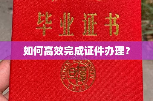 南庄如何高效完成证件办理？