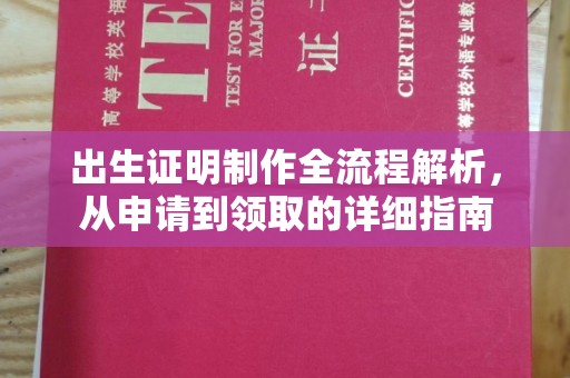 南庄出生证明制作全流程解析，从申请到领取的详细指南